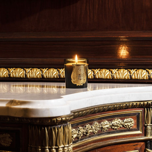 trudon / candle - gabriel