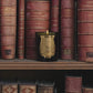 trudon / candle - abd el kadr