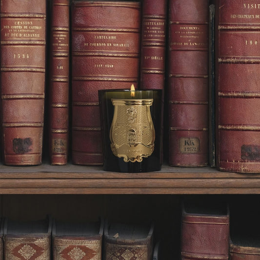 trudon / candle - spiritus sancti