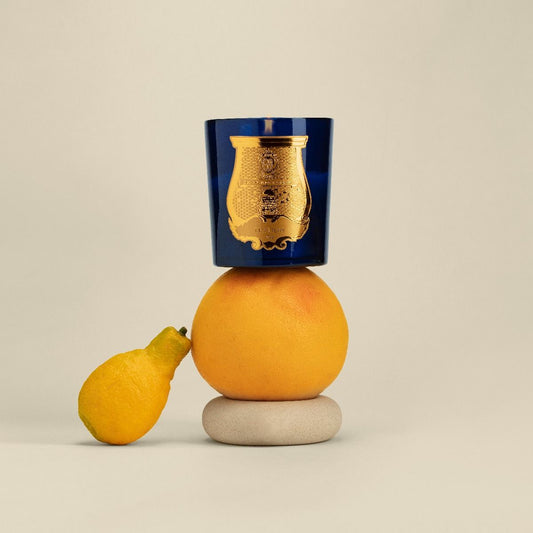 trudon / candle - salta