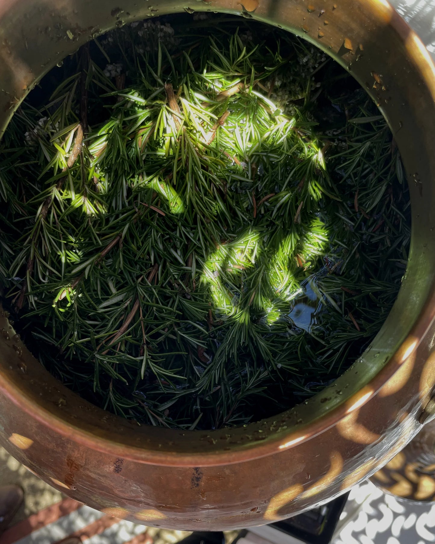 gara skincare / hydrosol spray - rosemary