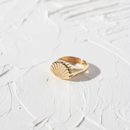 coquille ring