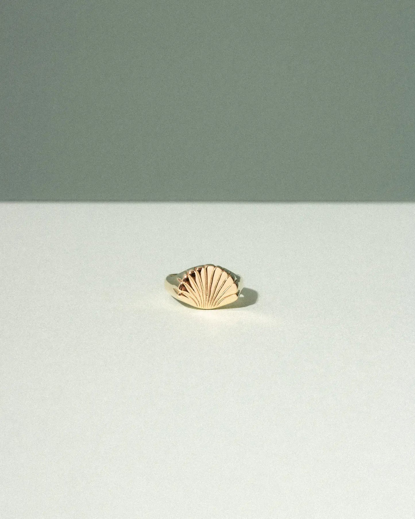 coquille ring