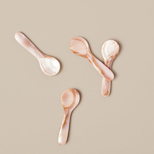 seashell spoon