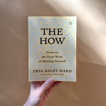 the how: notes on the great work of meeting yourself