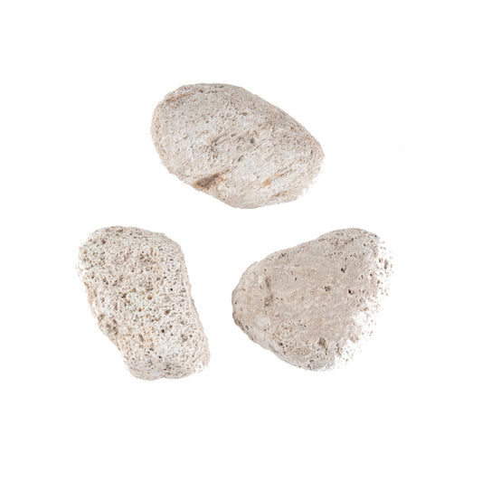 pumice stone