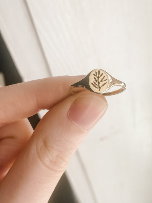 gold mini signet ring - olive branch