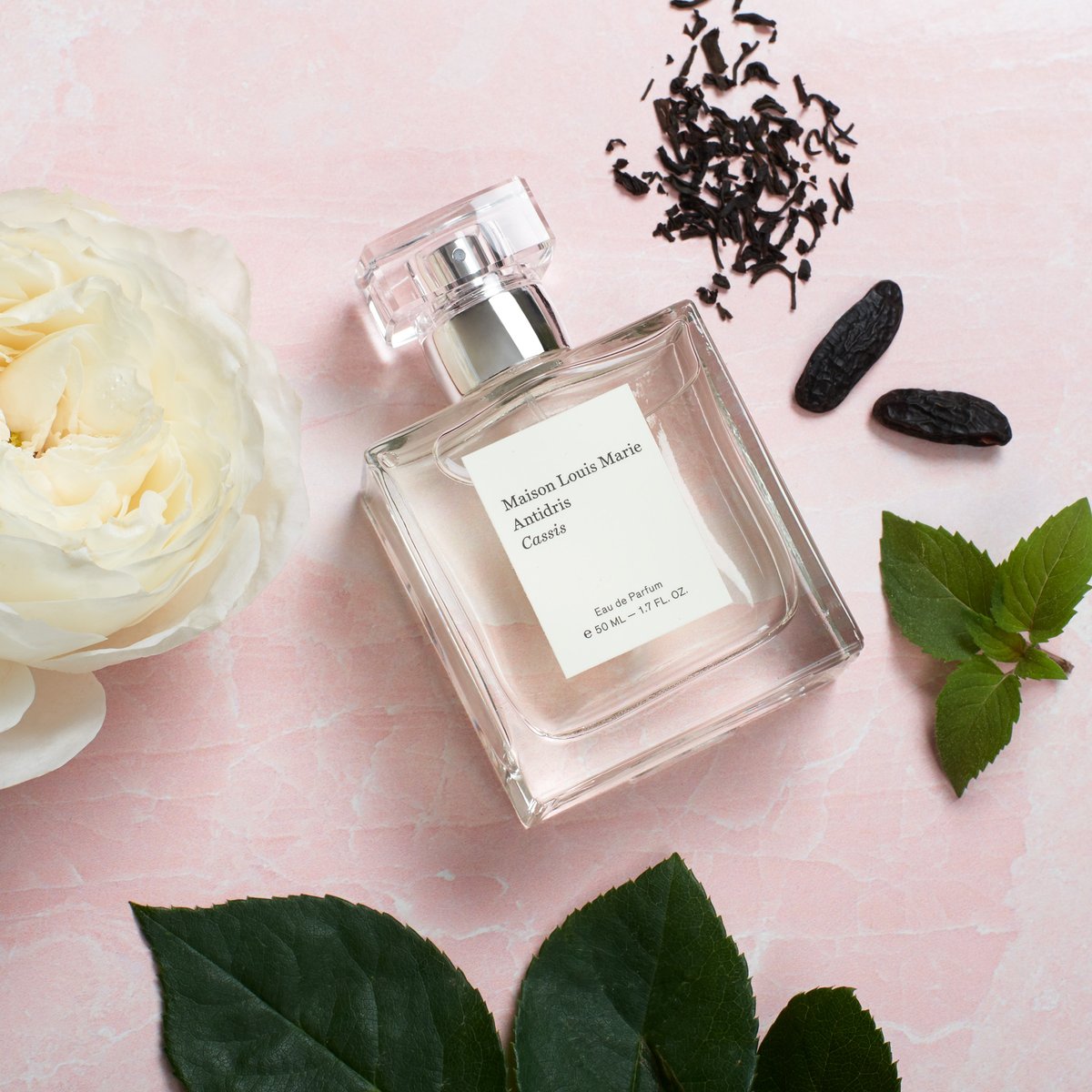 maison louis marie / eau de parfum - antidris cassis – Len Collective