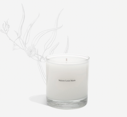 maison louis marie / candle - no.10 aboukir