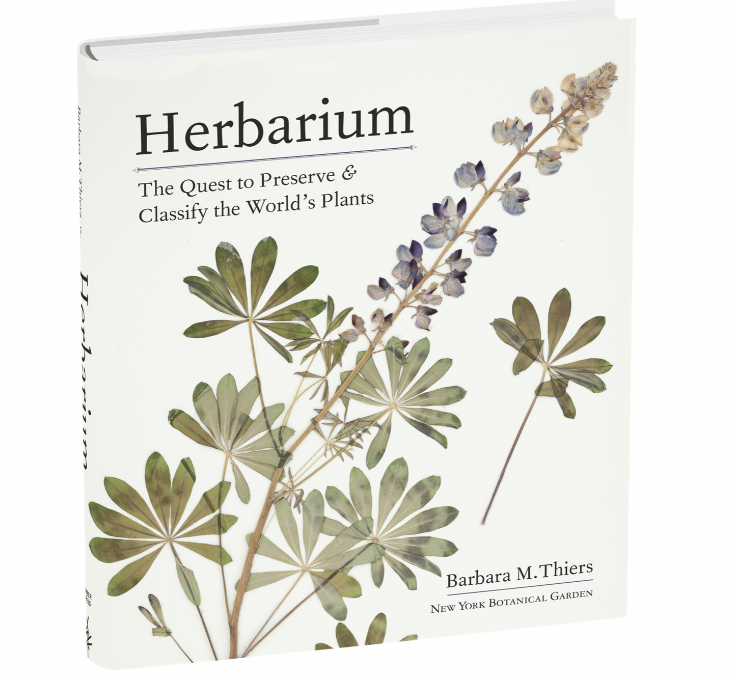 herbarium