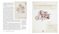 herbarium