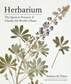 herbarium