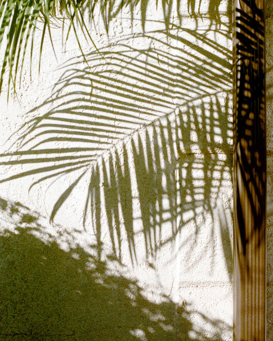 corina rose prints / shadows 07