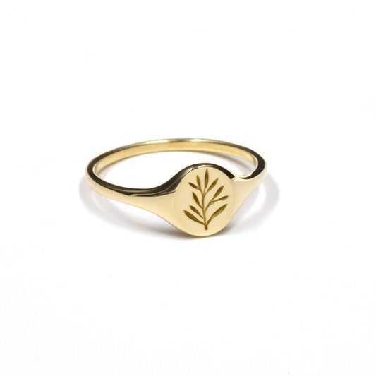 gold mini signet ring - olive branch